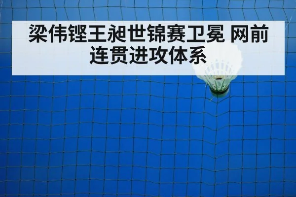 badminton net play